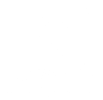 Pintaflow Oy
